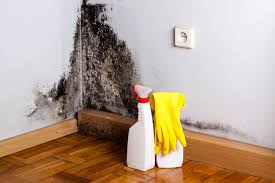 Best Air Quality Testing for Mold Spores  in Crown Heights, NY